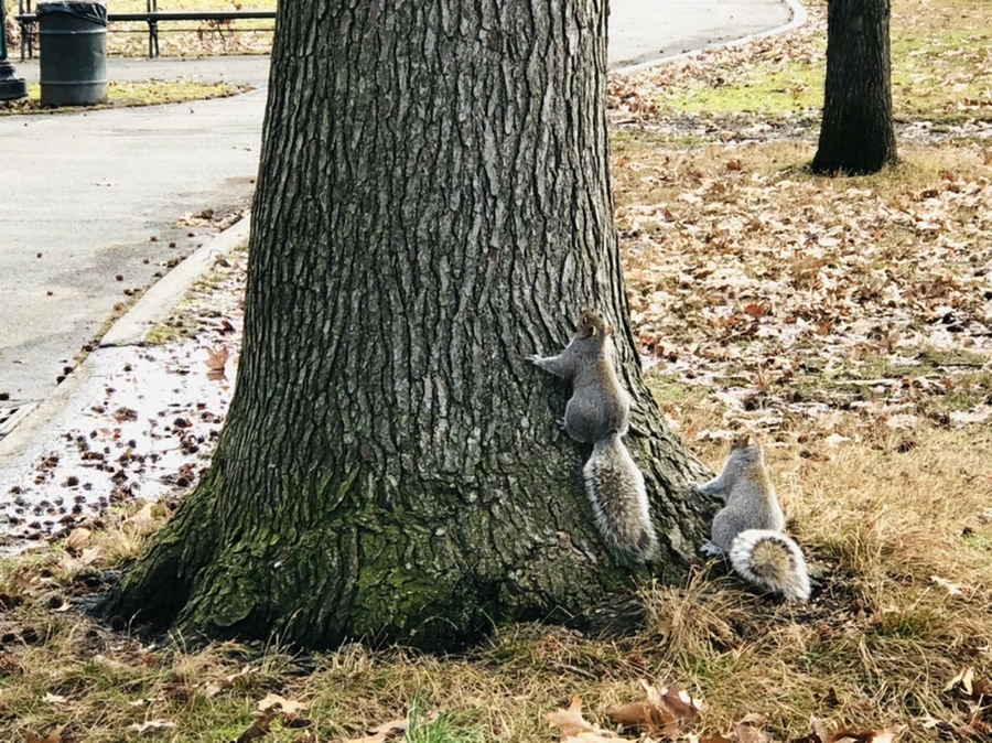 IMG_9926.jpg?type=w966