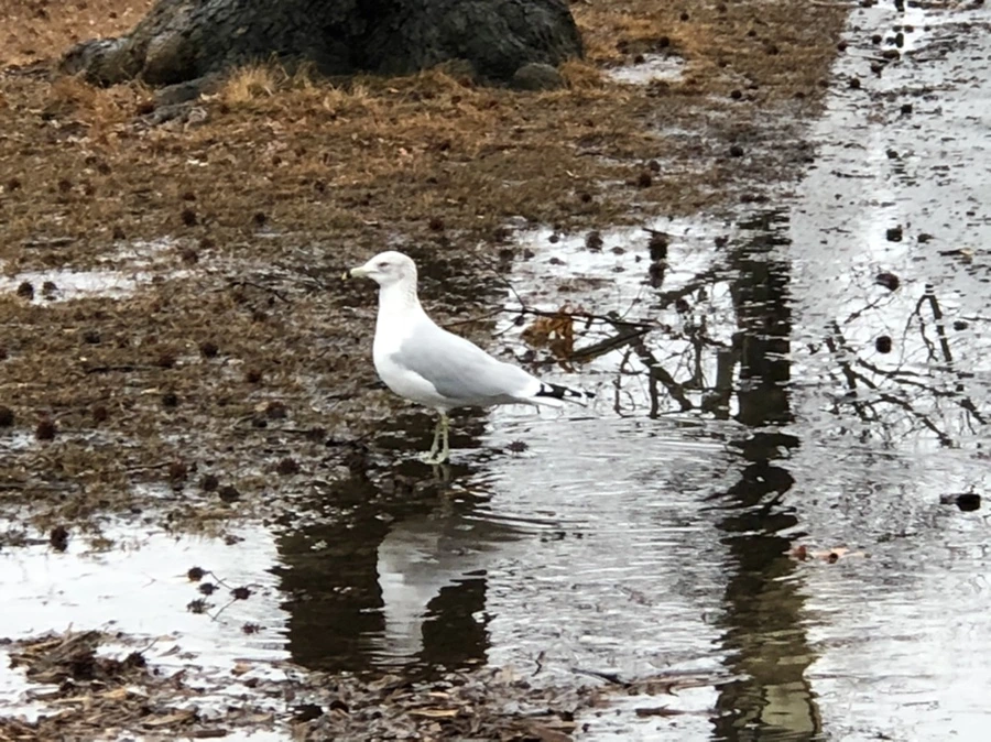 IMG_5619.jpg?type=w966