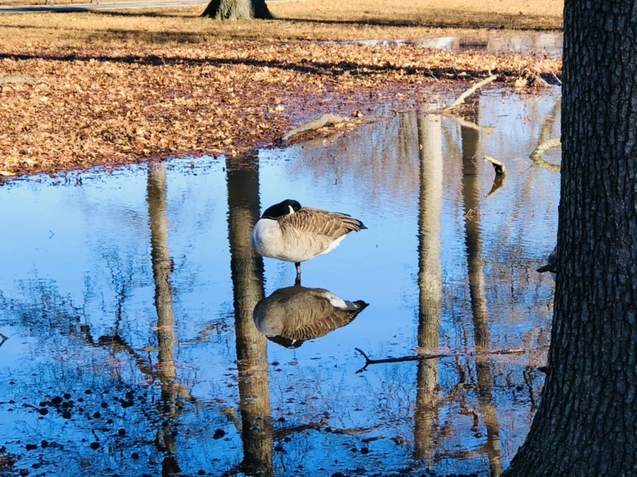 IMG_9791.jpg?type=w966