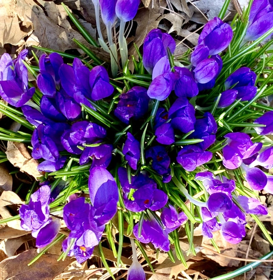 IMG_1502.jpg?type=w966