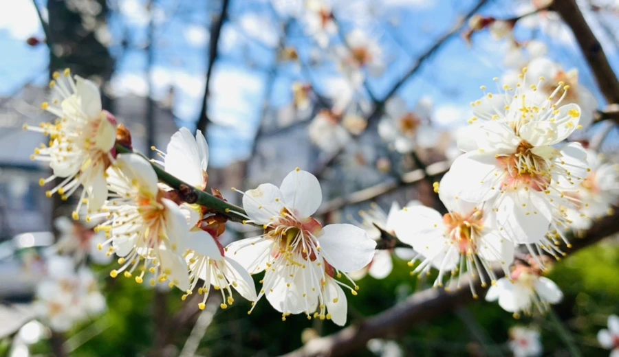 IMG_0969.jpg?type=w966