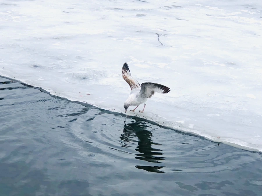 IMG_6264.jpg?type=w966