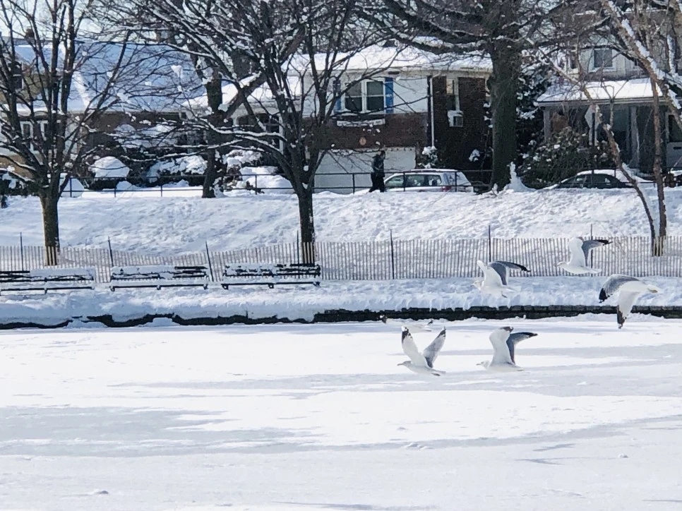 IMG_1300.jpg?type=w966