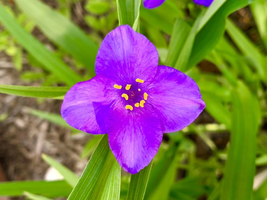 IMG_4074.jpg?type=w966