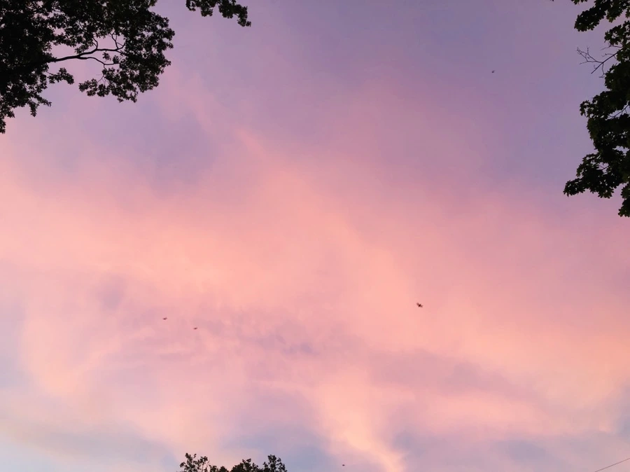 IMG_0284.jpg?type=w966