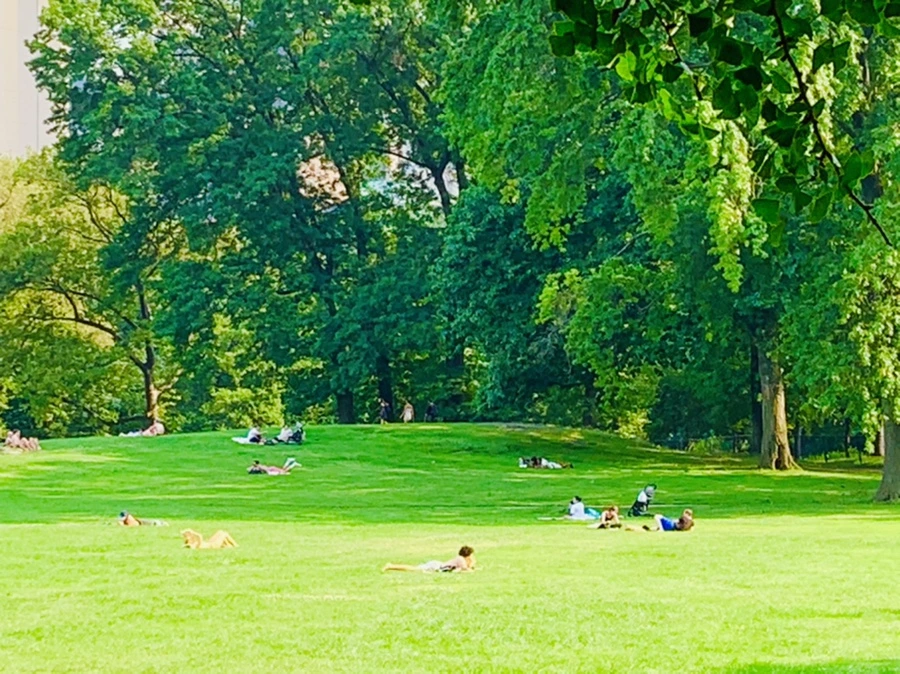 IMG_1790.jpg?type=w966