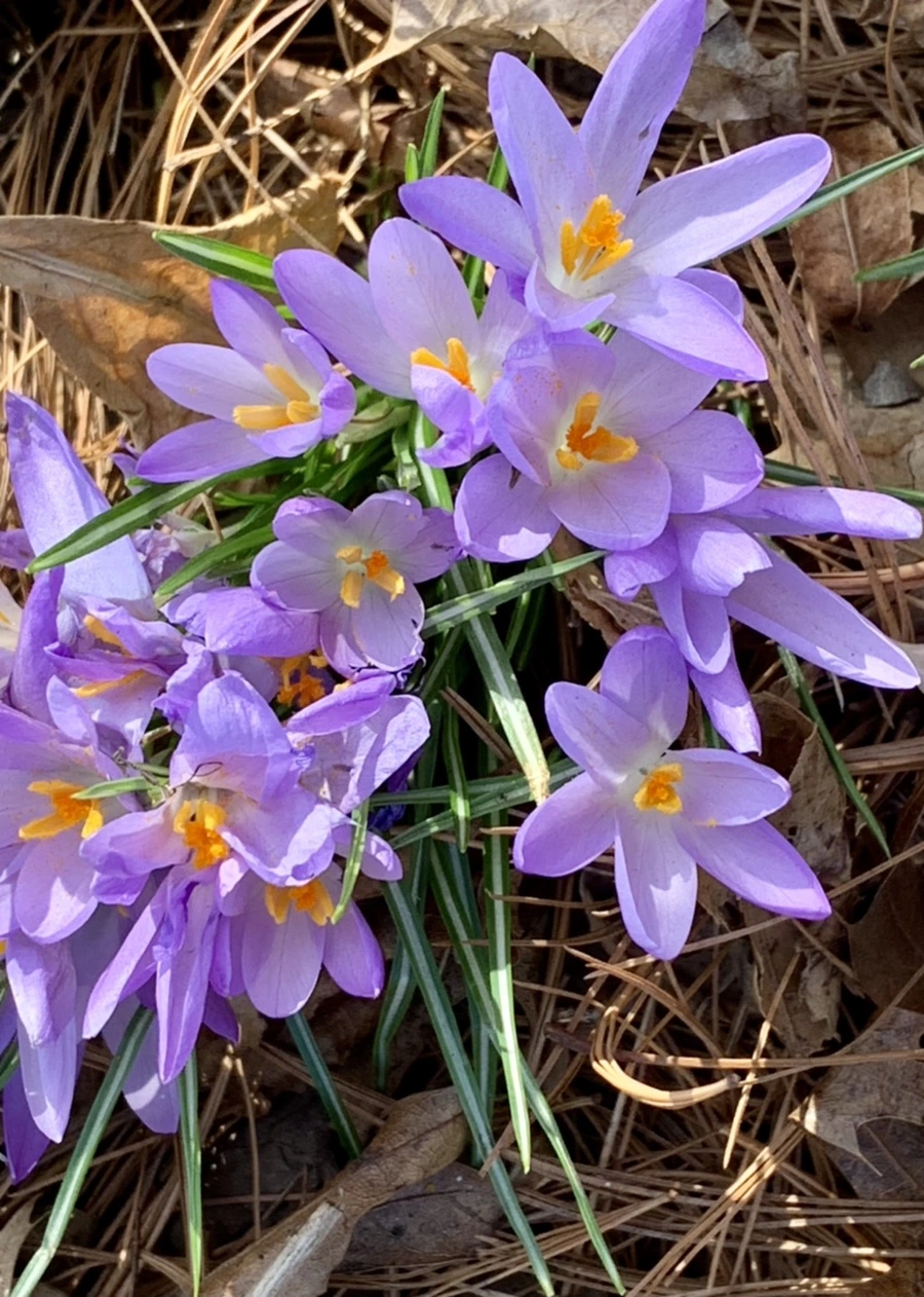 IMG_0168.jpg?type=w966