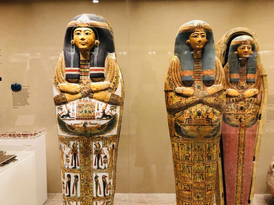 IMG_5029.jpg?type=w966