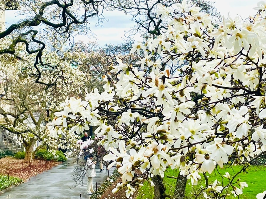 IMG_7486.jpg?type=w966