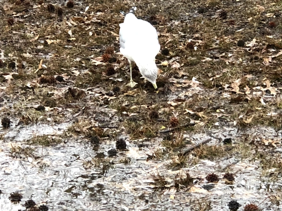 IMG_5697.jpg?type=w966