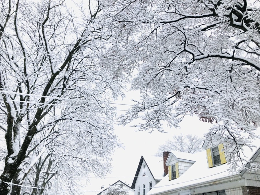 IMG_0985.jpg?type=w966