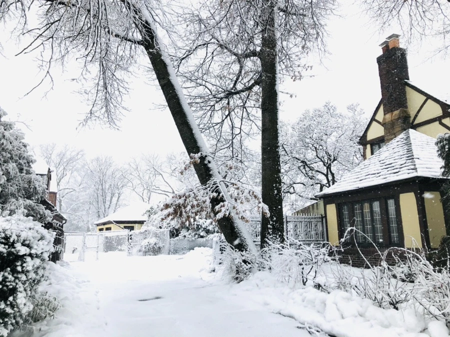 IMG_1001.jpg?type=w966