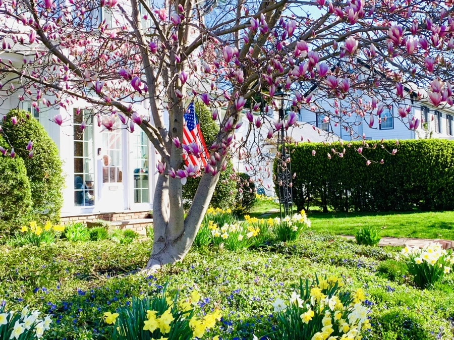 IMG_7511.jpg?type=w966