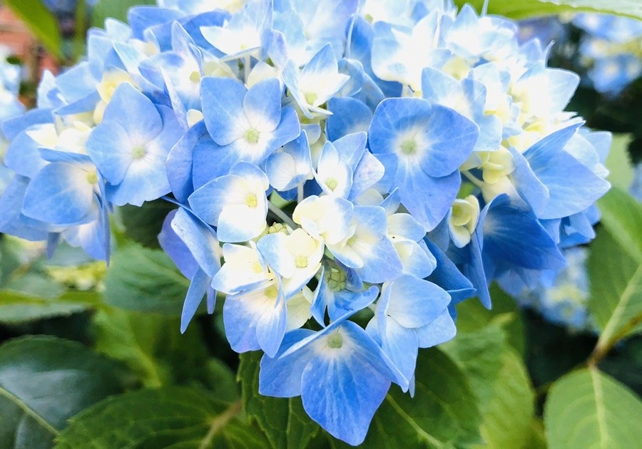 JBx8JY30kZoQcx3YGjegds3fbEQ