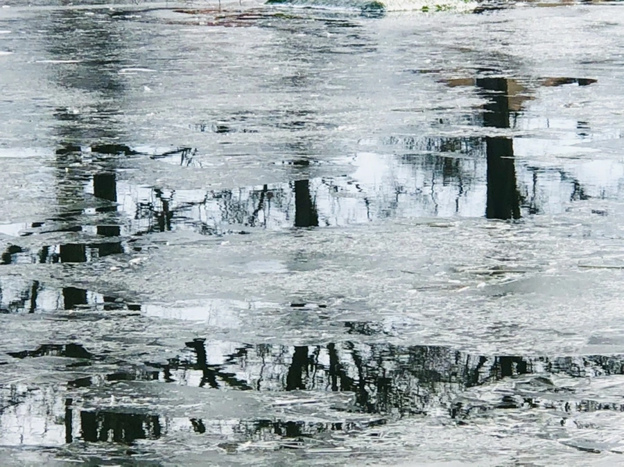 IMG_2039.jpg?type=w966