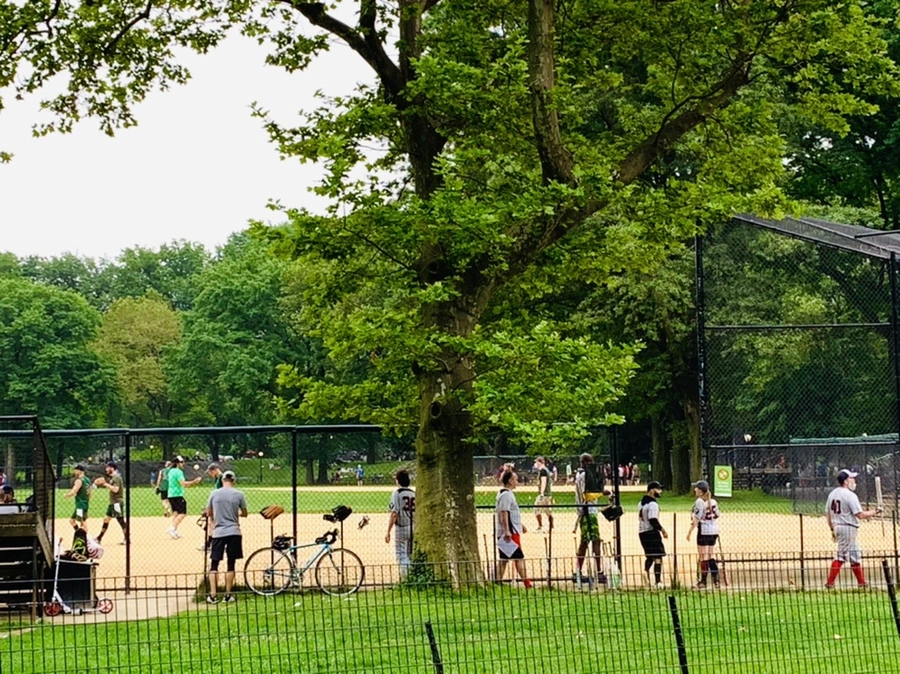 IMG_3305.jpg?type=w966