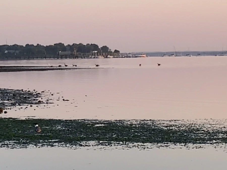 IMG_0158.jpg?type=w966