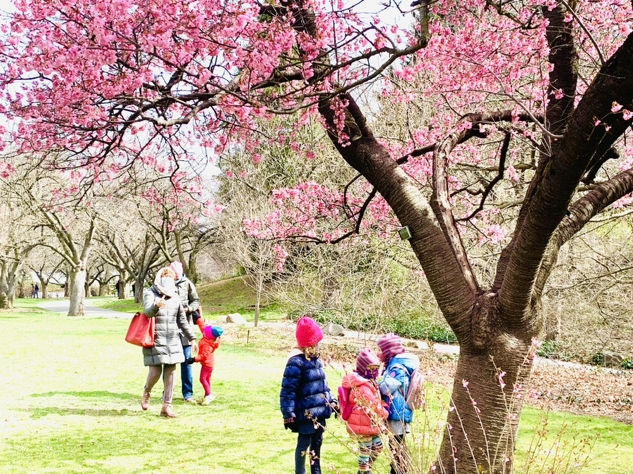 IMG_6424.jpg?type=w966