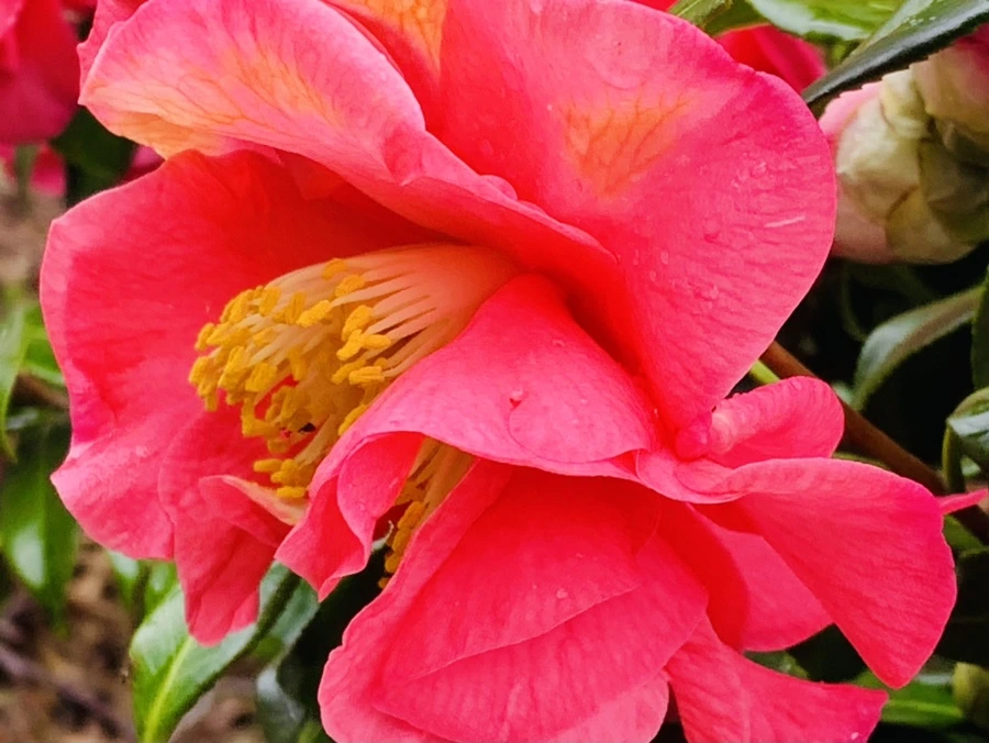 IMG_6254.jpg?type=w966