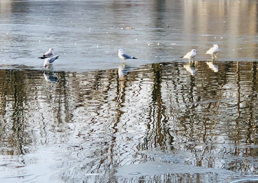 IMG_2670.jpg?type=w966