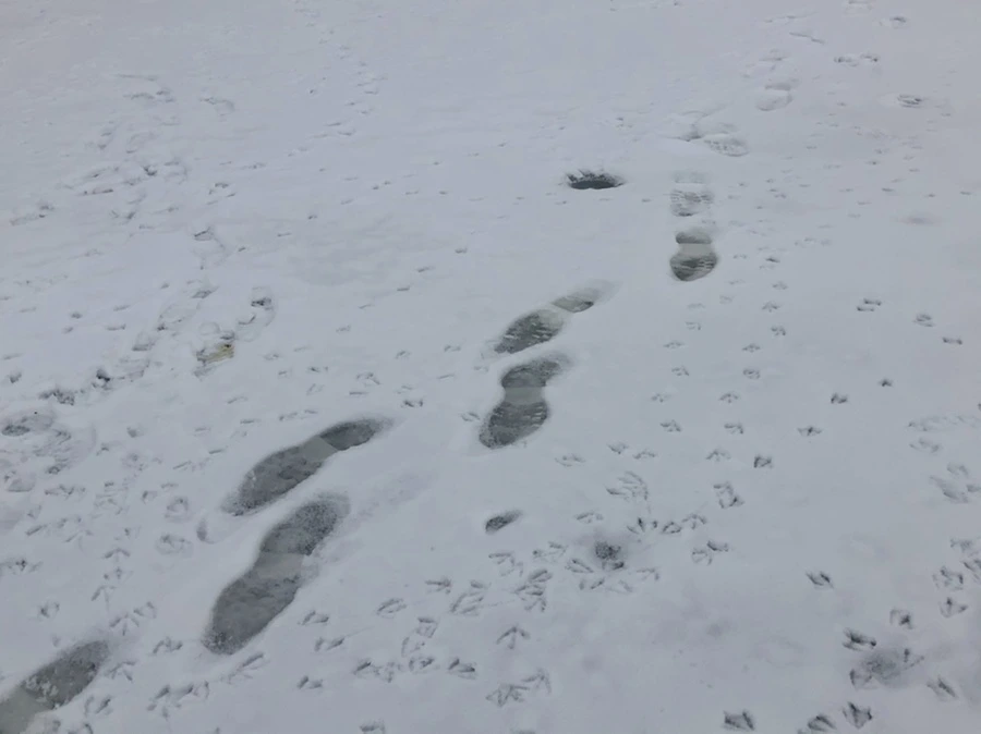 IMG_2571.jpg?type=w966