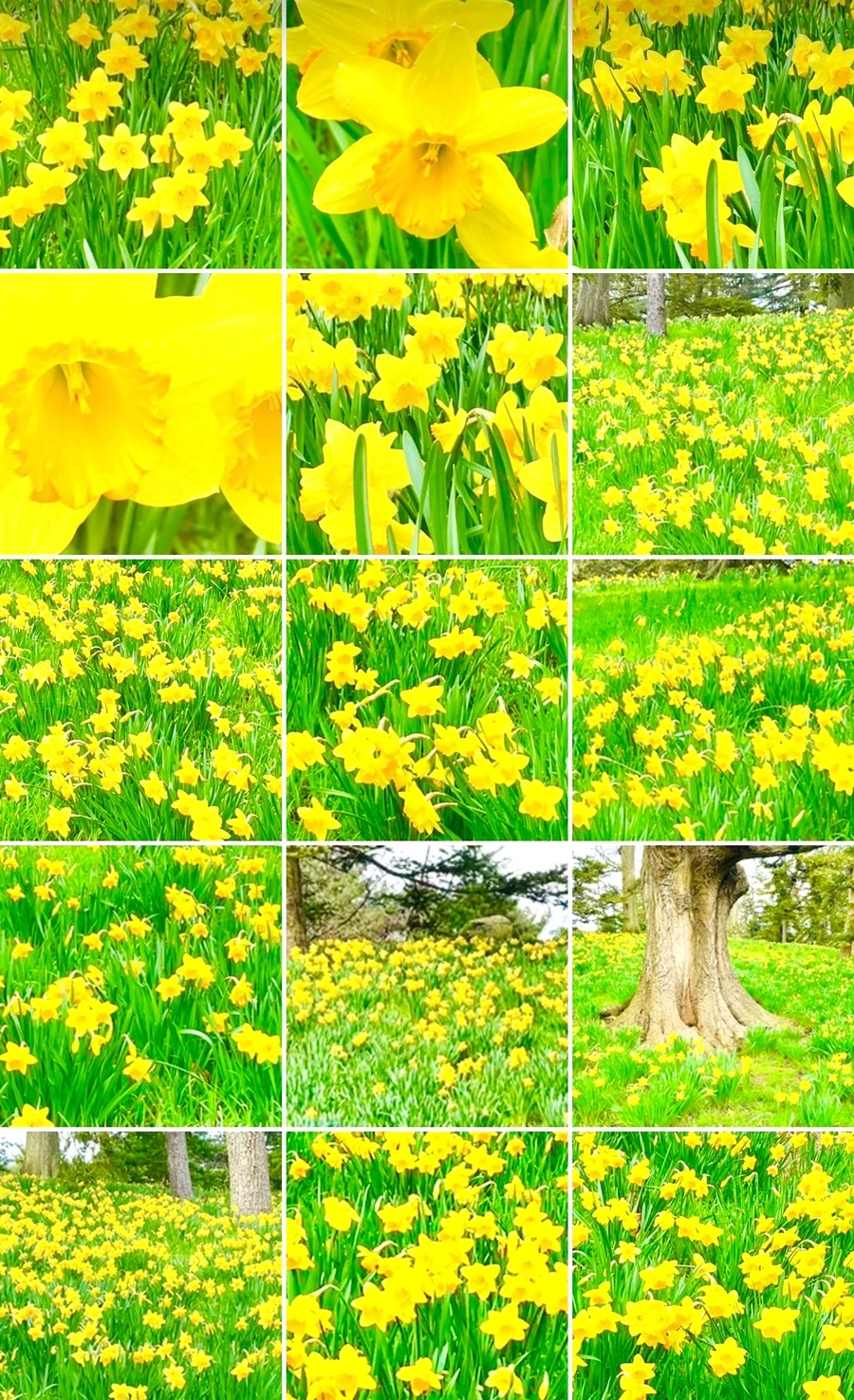 IMG_7598.jpg?type=w966