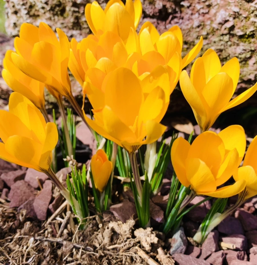 IMG_0675.jpg?type=w966