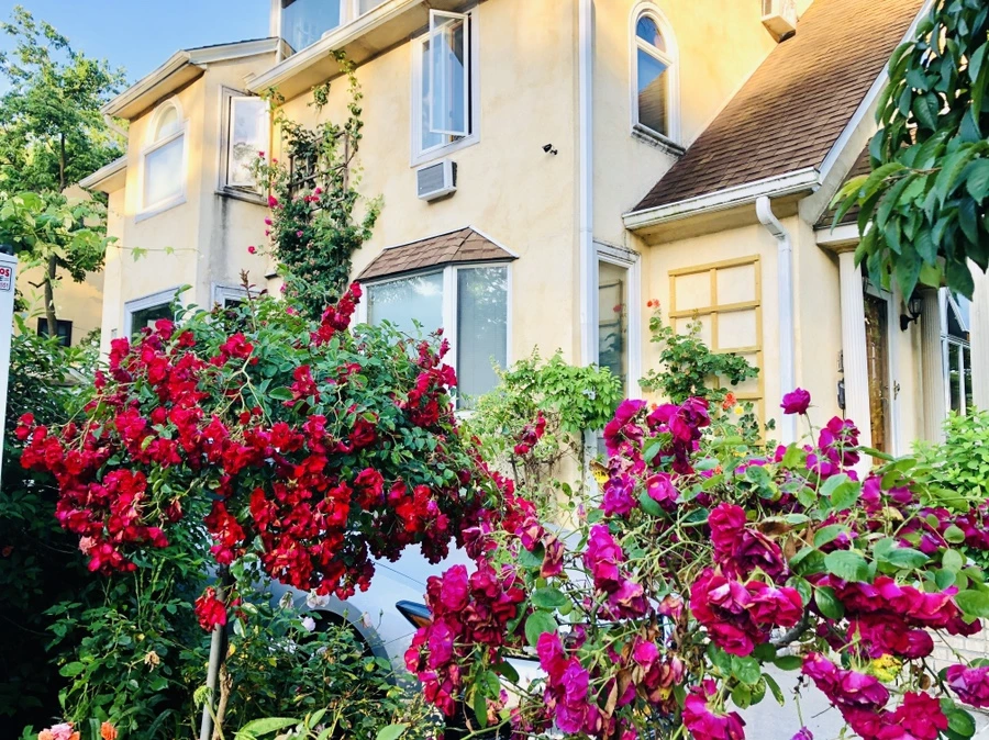 IMG_9017.jpg?type=w966