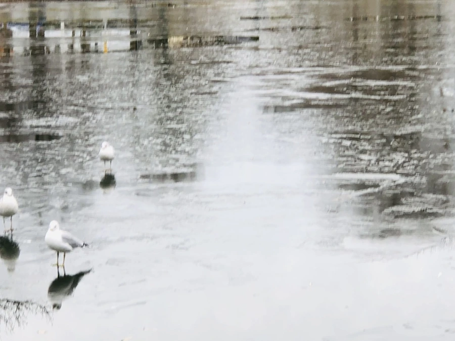 IMG_9026.jpg?type=w966