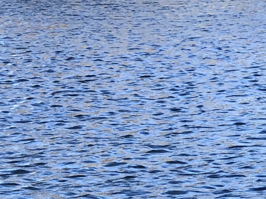 IMG_3756.jpg?type=w966