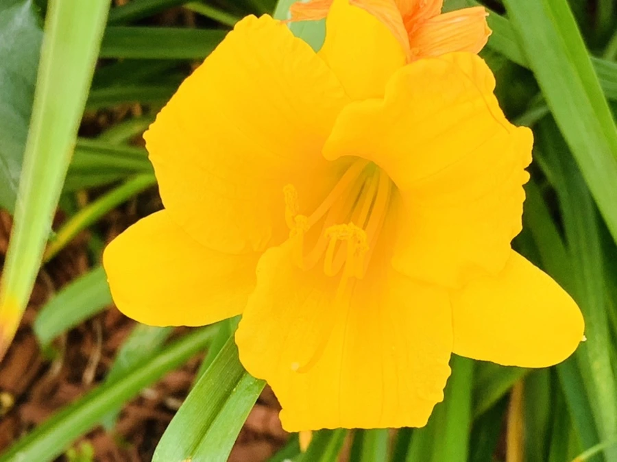 IMG_5960.jpg?type=w966