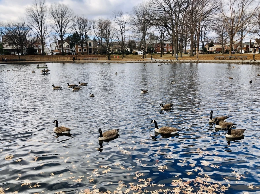 IMG_3215.jpg?type=w966