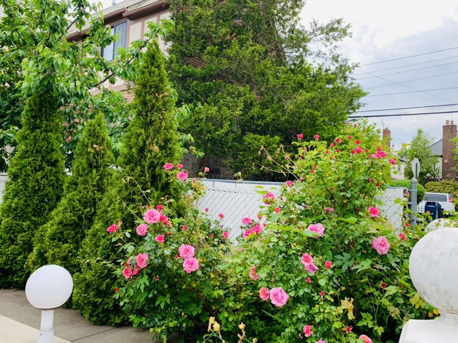 IMG_4862.jpg?type=w966