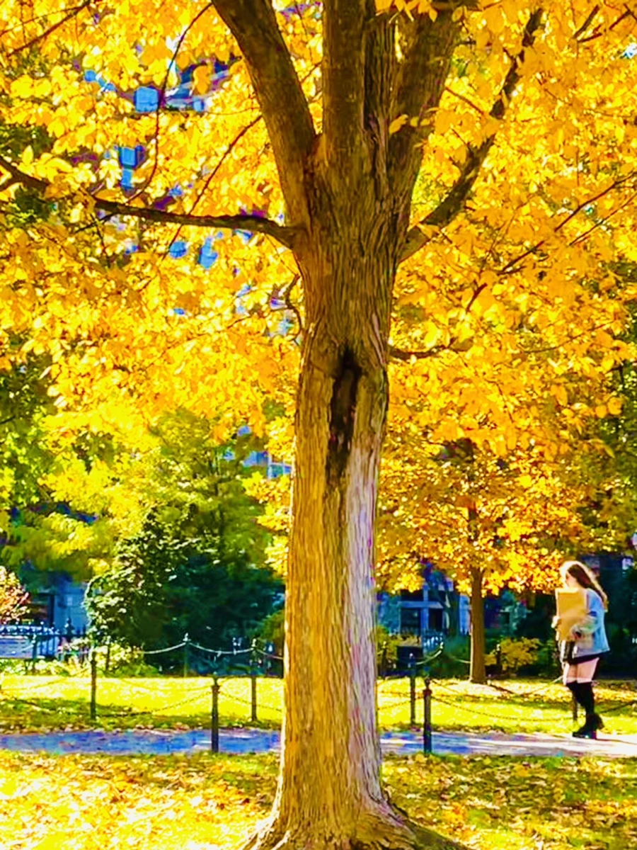 IMG_2588.jpg?type=w966