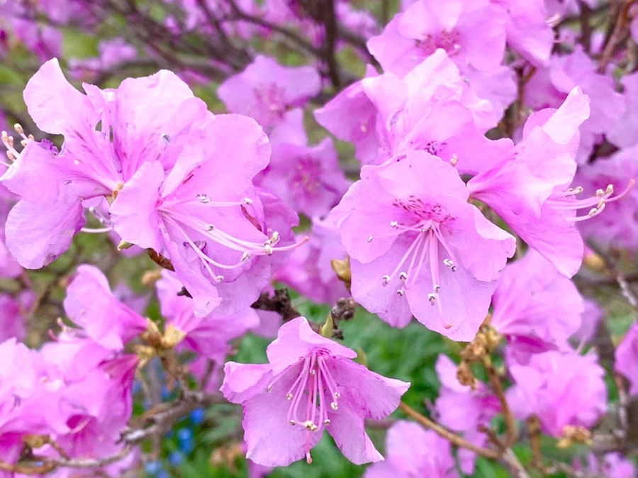 IMG_5952.jpg?type=w966