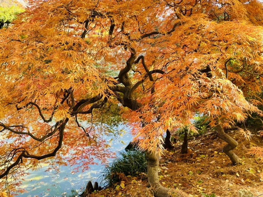 IMG_3102.jpg?type=w966