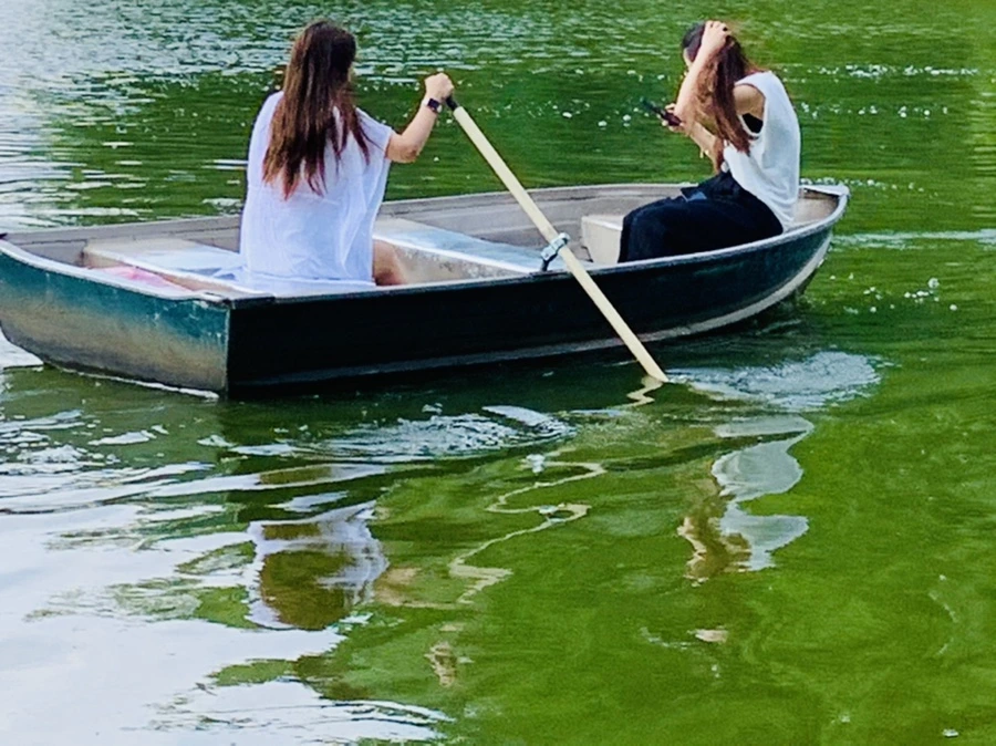 IMG_1731.jpg?type=w966