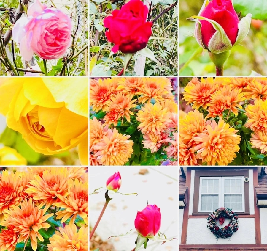 IMG_6225.jpg?type=w966