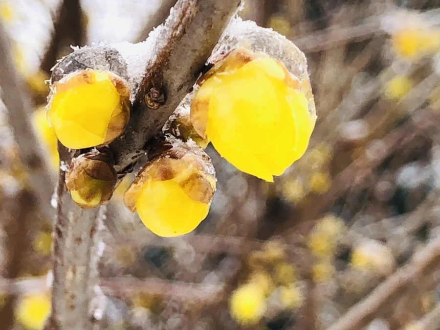 IMG_3502.jpg?type=w966