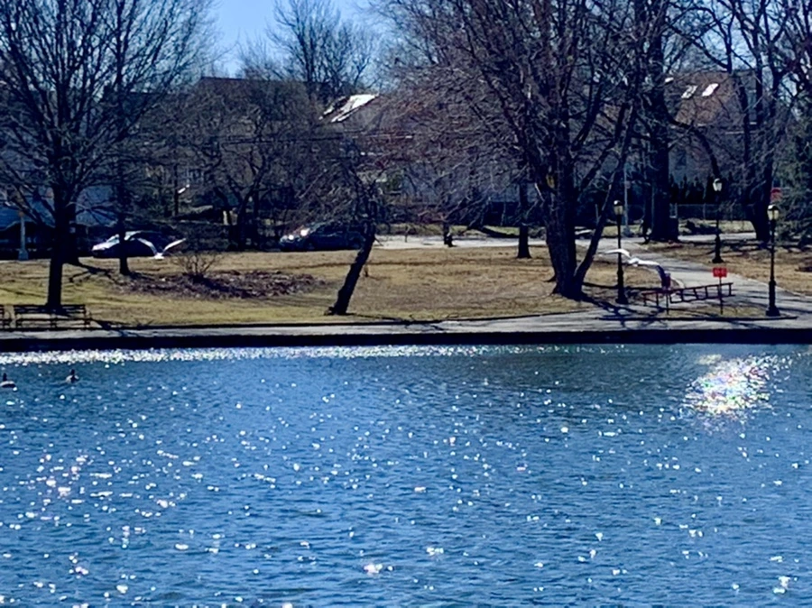 IMG_7585.jpg?type=w966