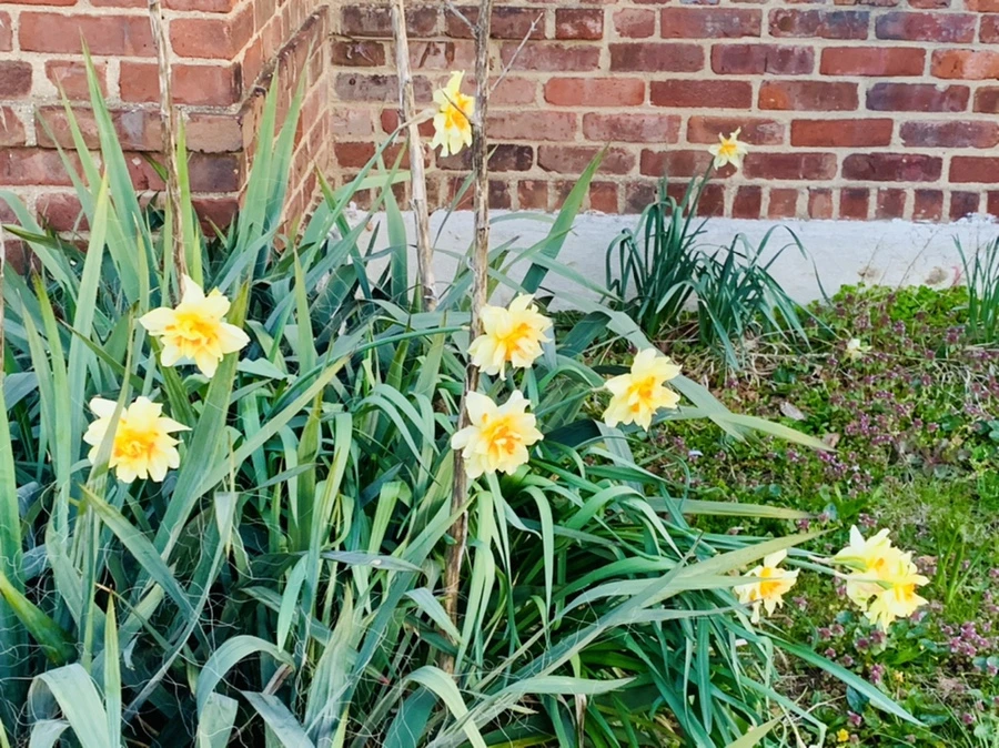 IMG_7435.jpg?type=w966