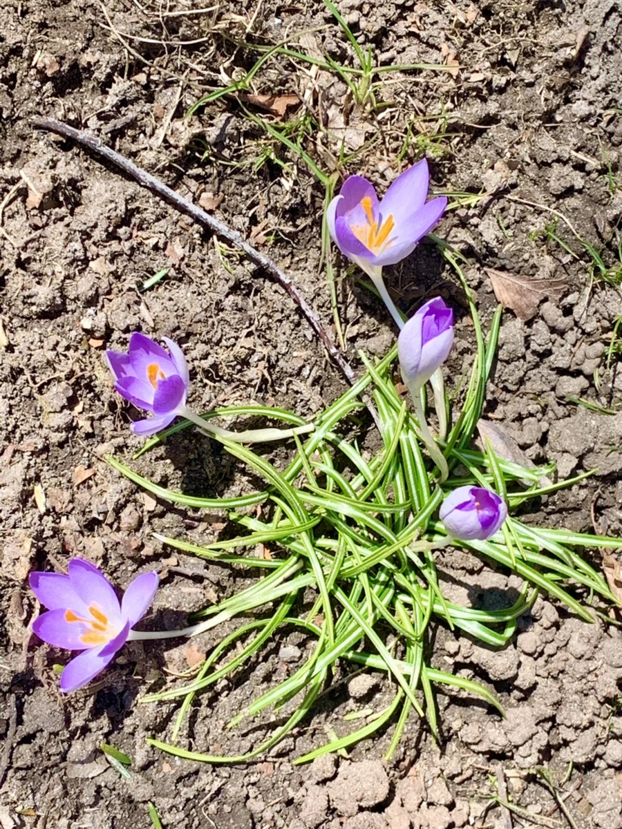 IMG_8208.jpg?type=w966