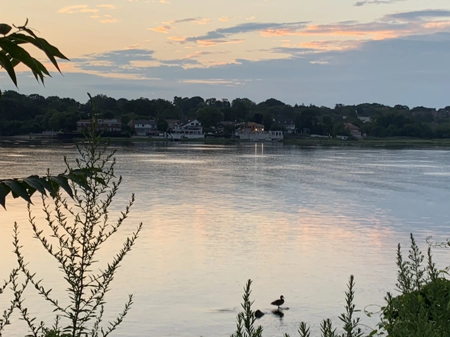 IMG_1190.jpg?type=w966