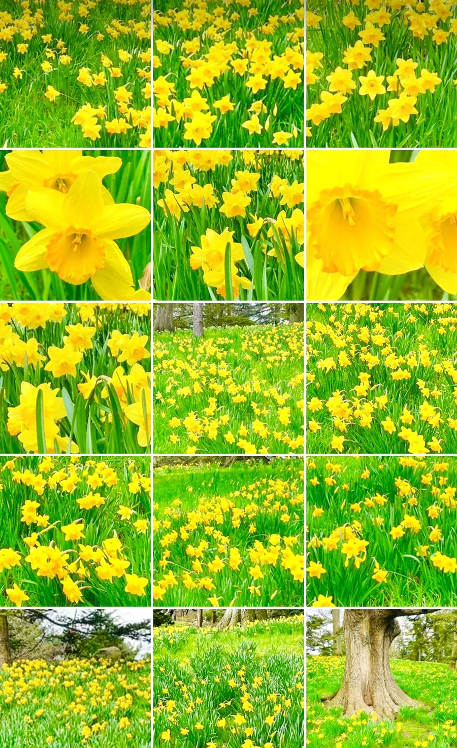 IMG_7596.jpg?type=w966