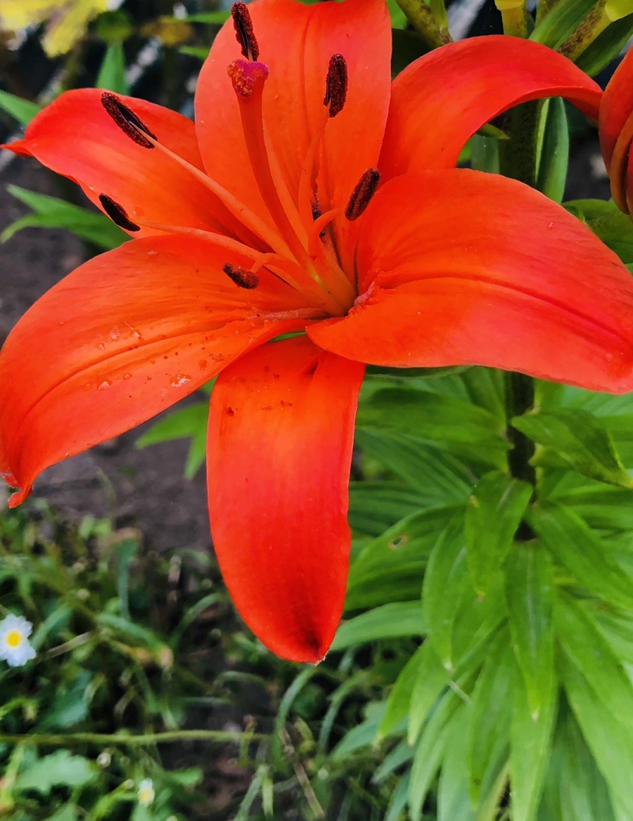 IMG_8840.jpg?type=w966