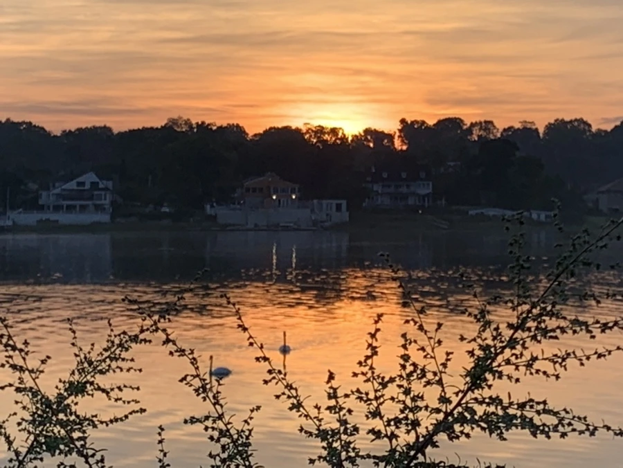 IMG_6814.jpg?type=w966