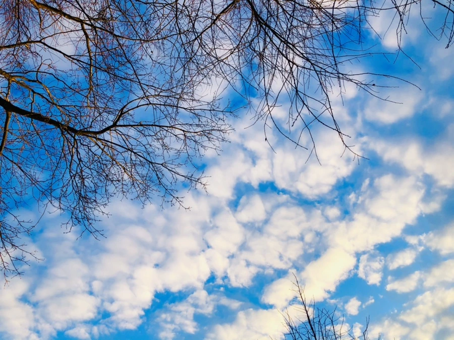 IMG_4856.jpg?type=w966