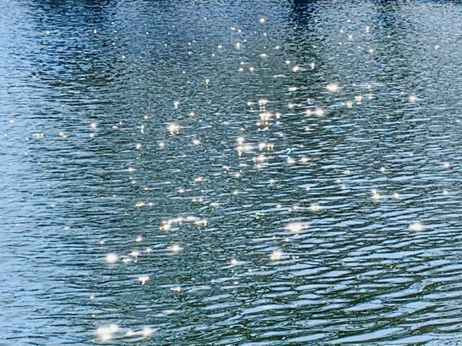 IMG_0067.jpg?type=w966