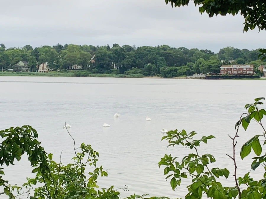 IMG_7087.jpg?type=w966