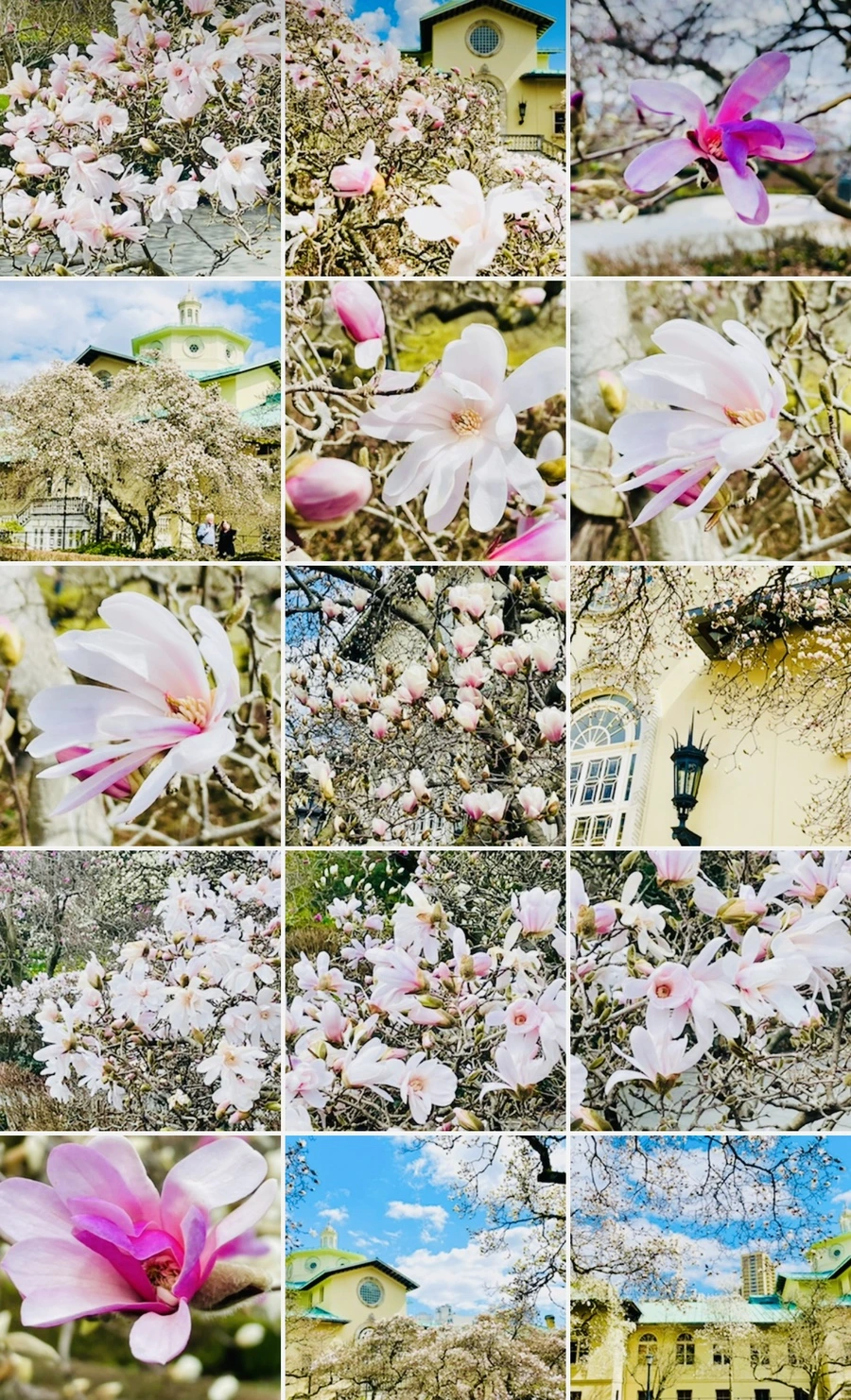 IMG_7298.jpg?type=w966